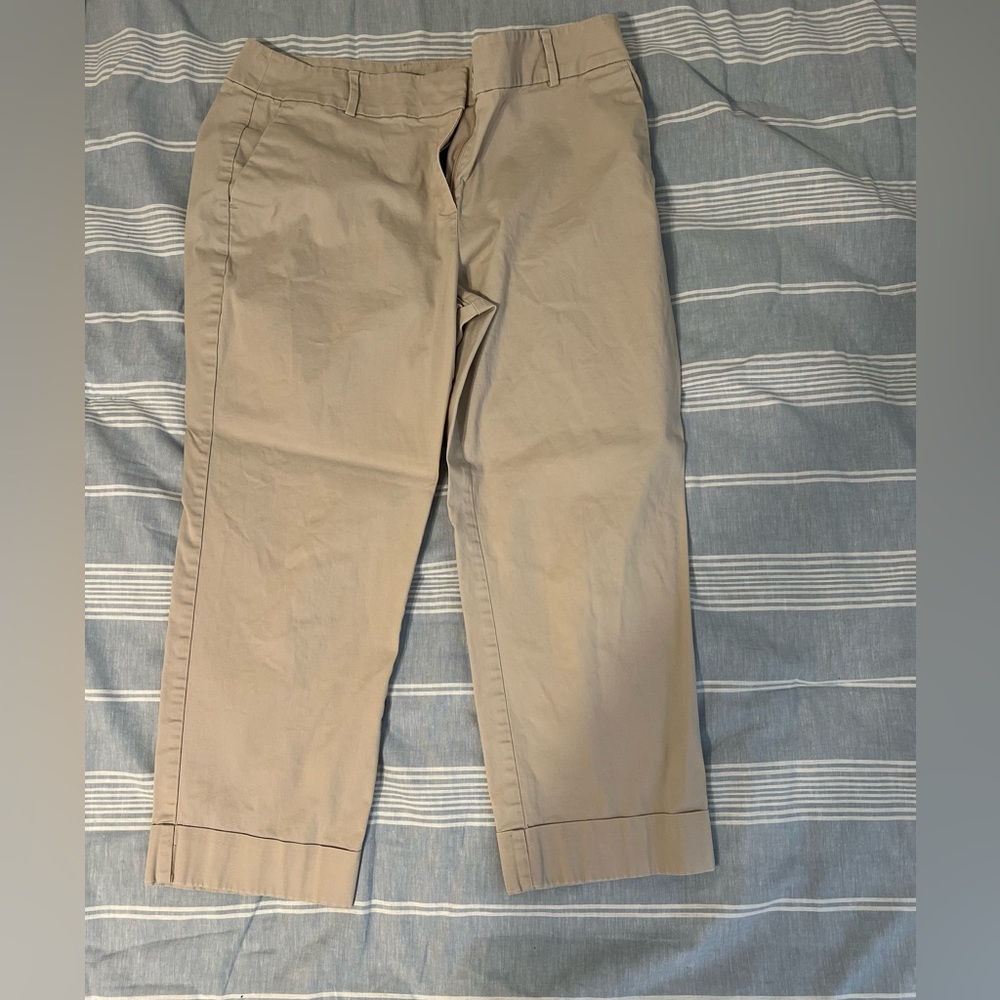 Ann Taylor Factory capri